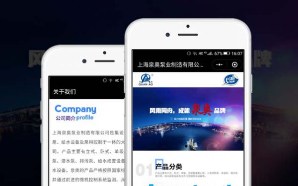 上海泉奥泵业