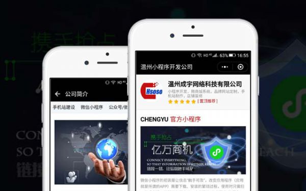 温州成宇科技