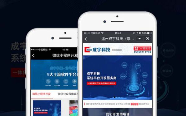 系统平台开发